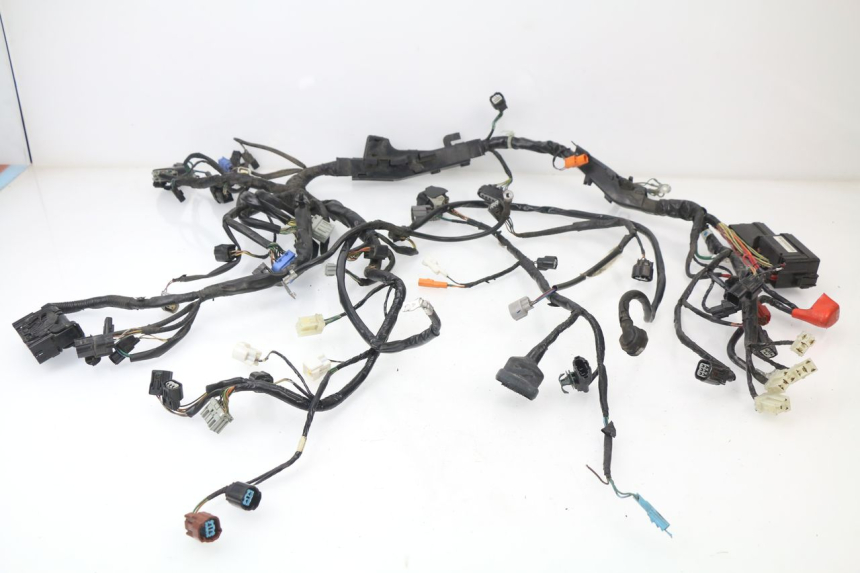photo de WIRE HARNESS HONDA VFR F 1200 (2010 - 2015)