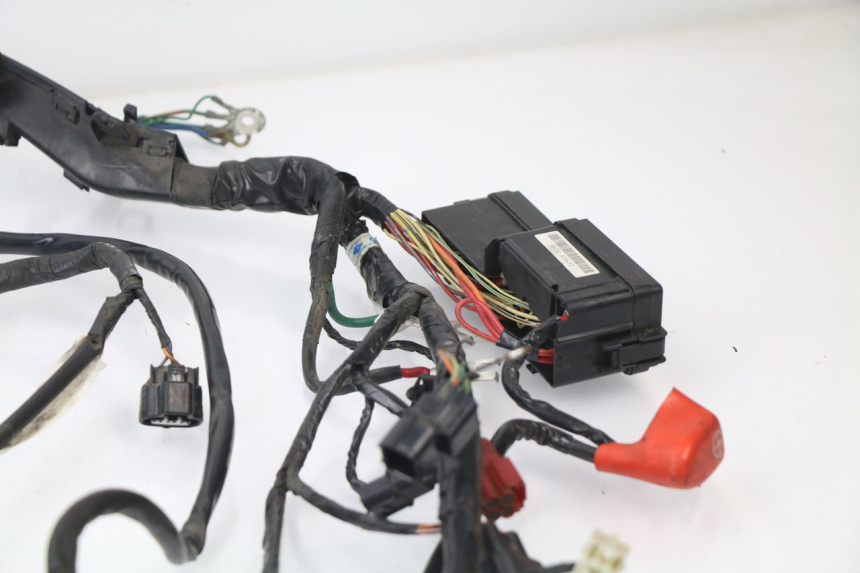photo de WIRE HARNESS HONDA VFR F 1200 (2010 - 2015)