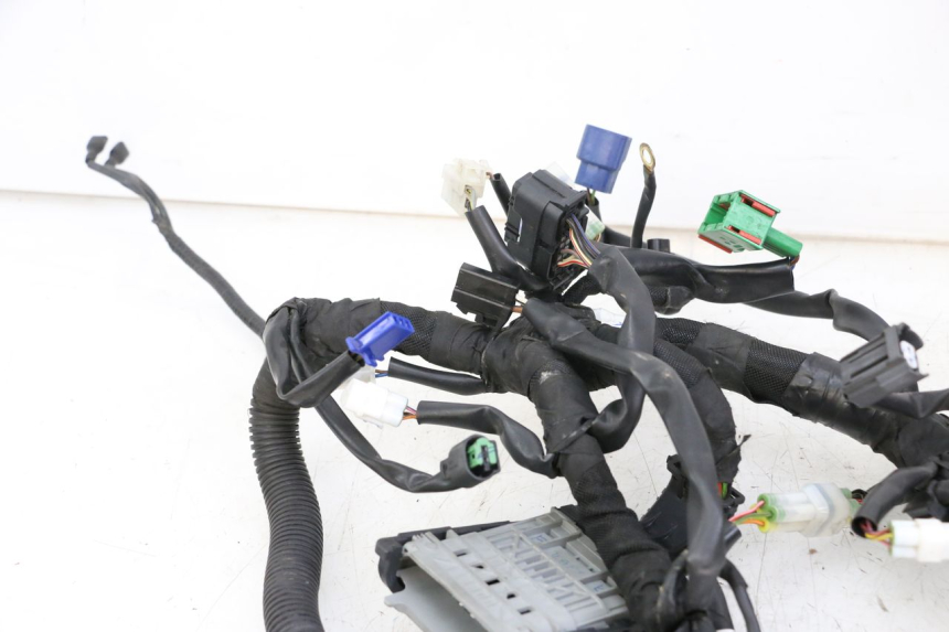 photo de WIRE HARNESS HUSQVARNA SVARTPILEN 401 (2018 - 2023)