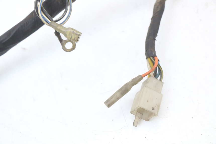 photo de WIRE HARNESS HYOSUNG GF 125 (2001 - 2005)
