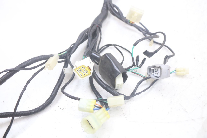 photo de WIRING HARNESS HYTRACK ST 170 (2020 - 2024)