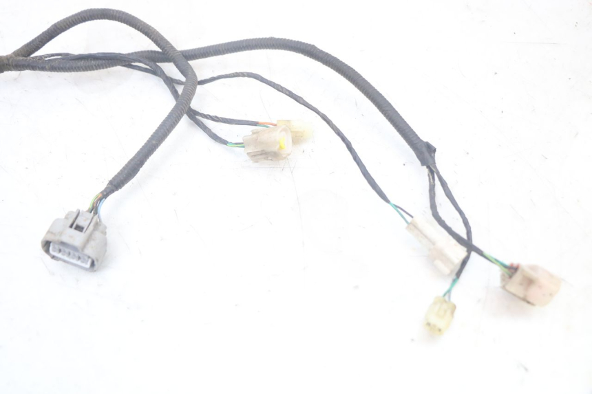 photo de WIRING HARNESS HYTRACK ST 170 (2020 - 2024)