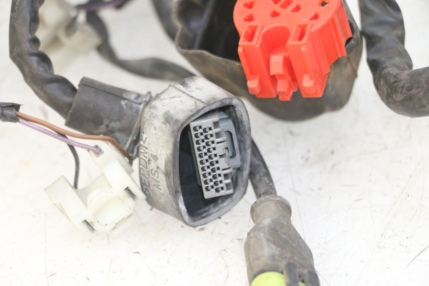 photo de WIRE HARNESS PIAGGIO IE MP3 YOURBAN 300 (2011 - 2016)