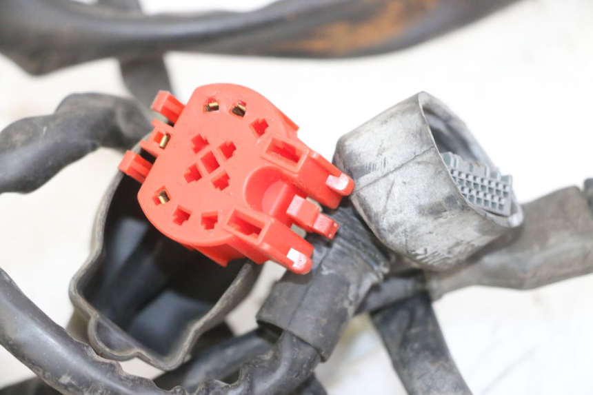 photo de WIRE HARNESS PIAGGIO IE MP3 YOURBAN 300 (2011 - 2016)