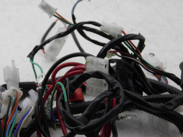 photo de WIRE HARNESS JM MOTOR JULIA 50 (2010 - 2014)