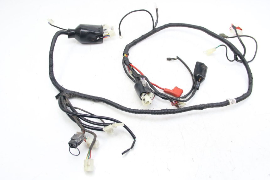 photo de WIRING HARNESS JM MOTORS EVOLIS 4T 50 (2018 - 2022)