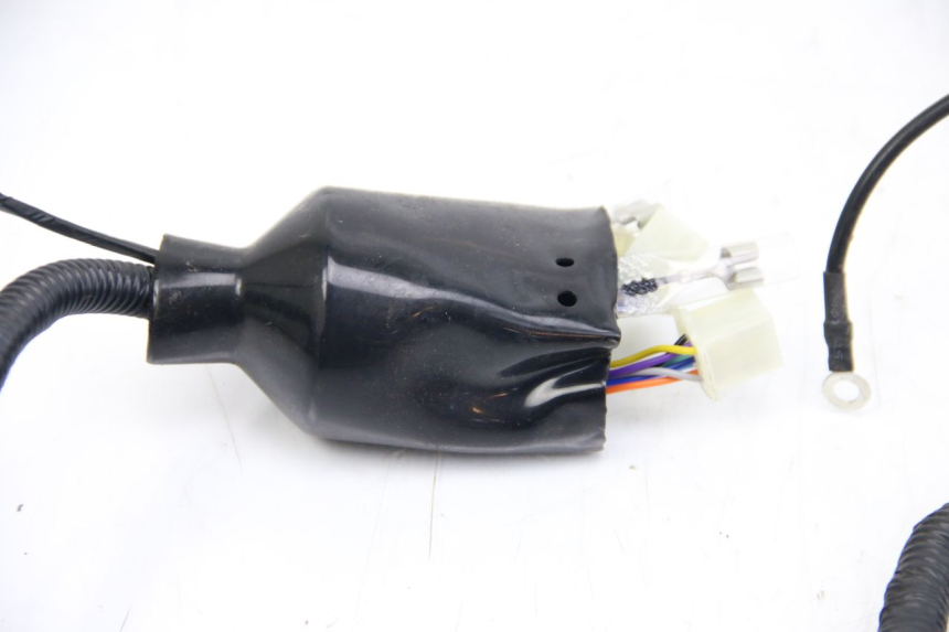 photo de WIRING HARNESS JM MOTORS EVOLIS 4T 50 (2018 - 2022)
