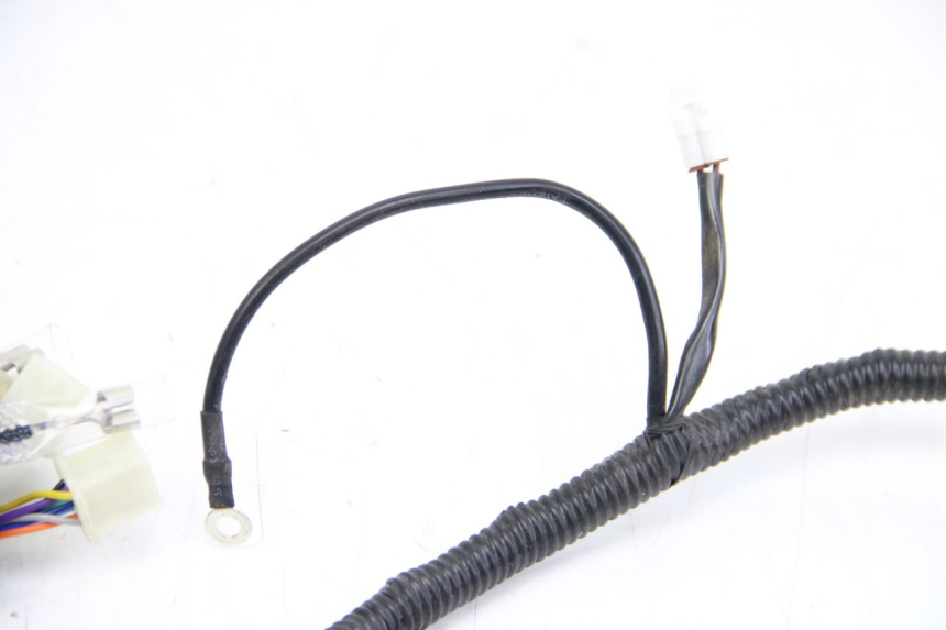 photo de WIRING HARNESS JM MOTORS EVOLIS 4T 50 (2018 - 2022)