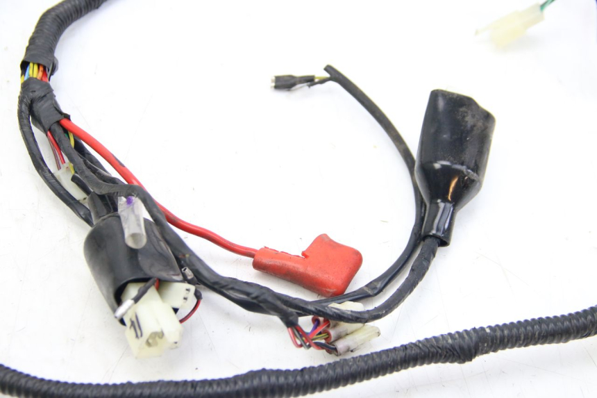 photo de WIRING HARNESS JM MOTORS EVOLIS 4T 50 (2018 - 2022)