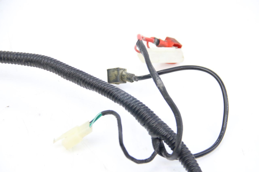 photo de WIRING HARNESS JM MOTORS EVOLIS 4T 50 (2018 - 2022)