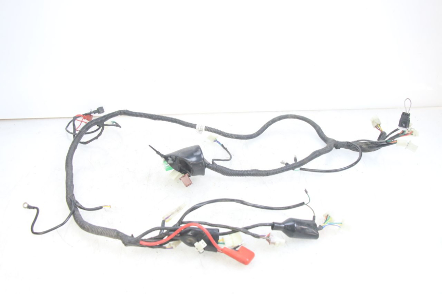 photo de WIRING HARNESS JM MOTORS EVOLIS 4T 50 (2018 - 2022)