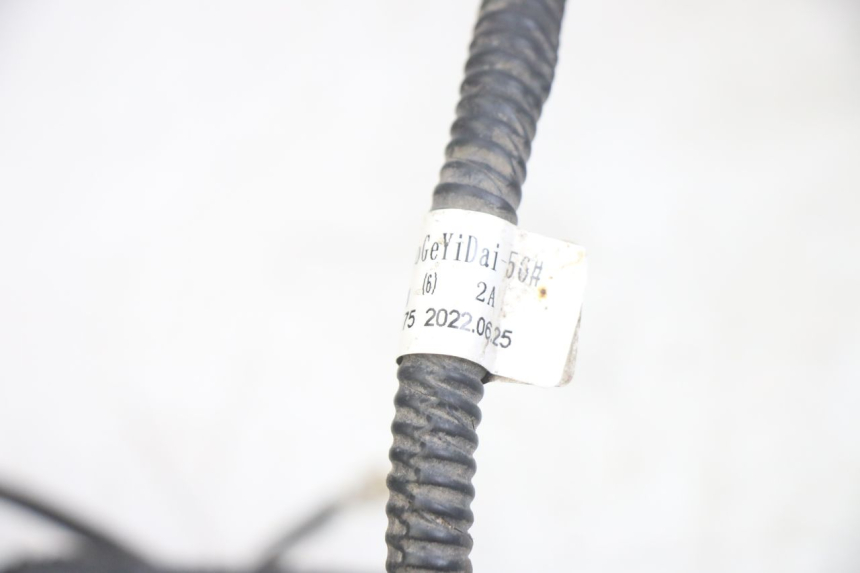 photo de WIRING HARNESS JM MOTORS EVOLIS 4T 50 (2018 - 2022)
