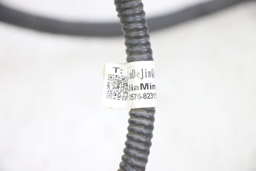 photo de WIRING HARNESS JM MOTORS EVOLIS 4T 50 (2018 - 2022)