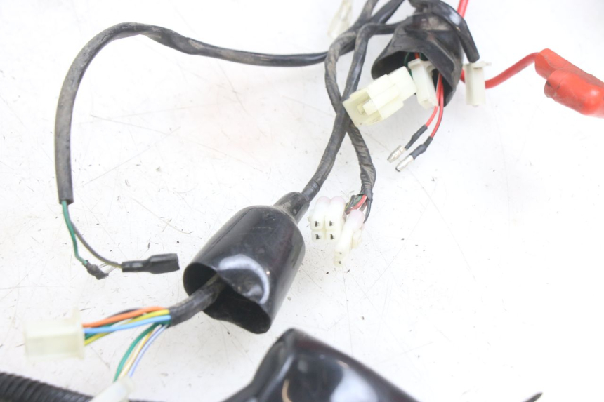 photo de WIRING HARNESS JM MOTORS EVOLIS 4T 50 (2018 - 2022)