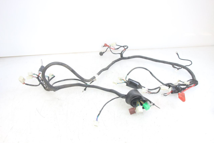 photo de WIRING HARNESS JM MOTORS EVOLIS 4T 50 (2018 - 2022)