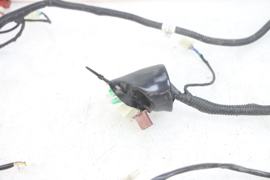 photo de WIRING HARNESS JM MOTORS EVOLIS 4T 50 (2018 - 2022)