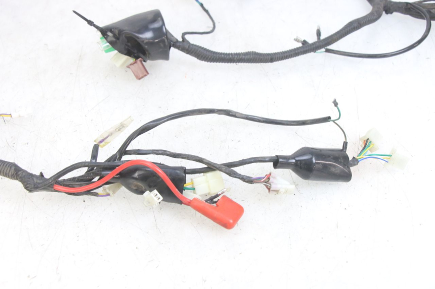 photo de WIRING HARNESS JM MOTORS EVOLIS 4T 50 (2018 - 2022)