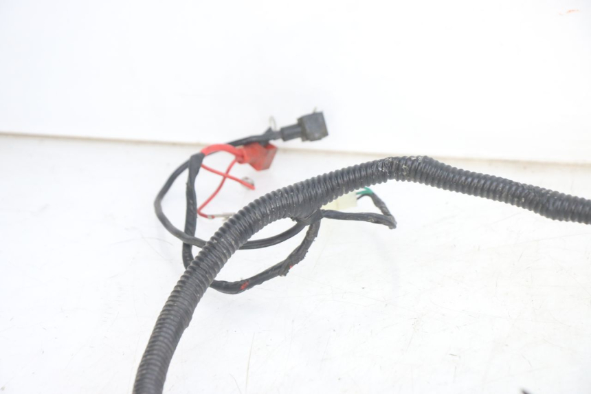 photo de WIRING HARNESS JM MOTORS EVOLIS 4T 50 (2018 - 2022)