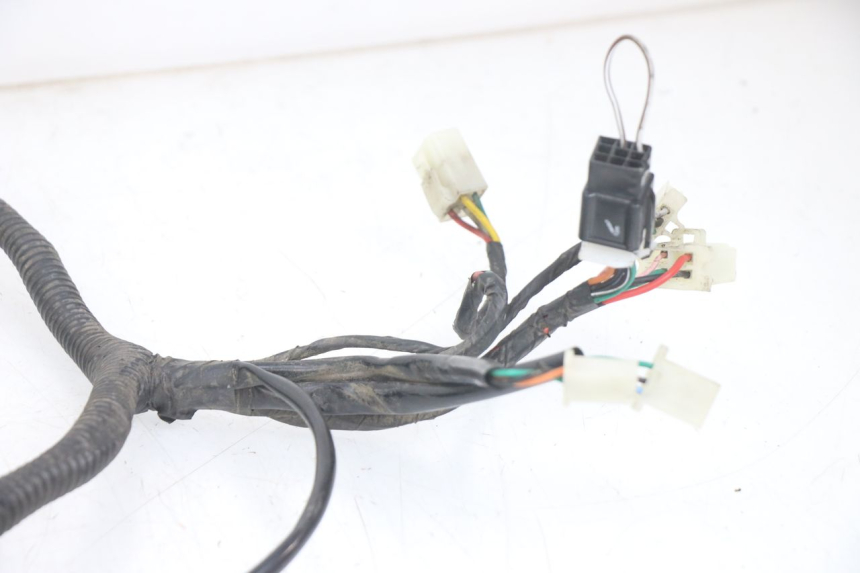 photo de WIRING HARNESS JM MOTORS EVOLIS 4T 50 (2018 - 2022)