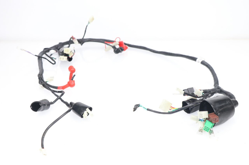 photo de WIRING HARNESS JM MOTORS MIA 50 (2017 - 2020)