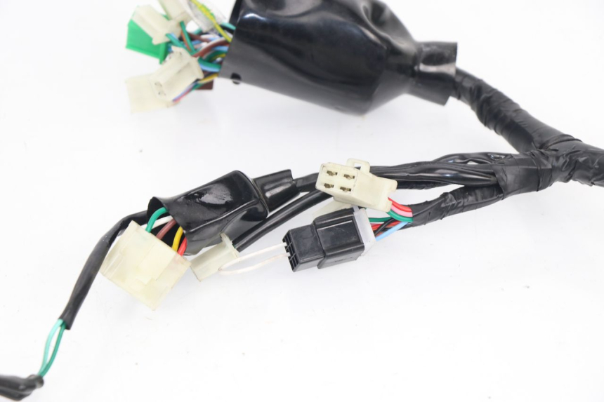 photo de WIRING HARNESS JM MOTORS MIA 50 (2017 - 2020)