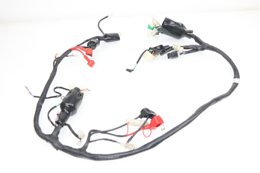 photo de WIRING HARNESS JM MOTORS MIA 50 (2017 - 2020)