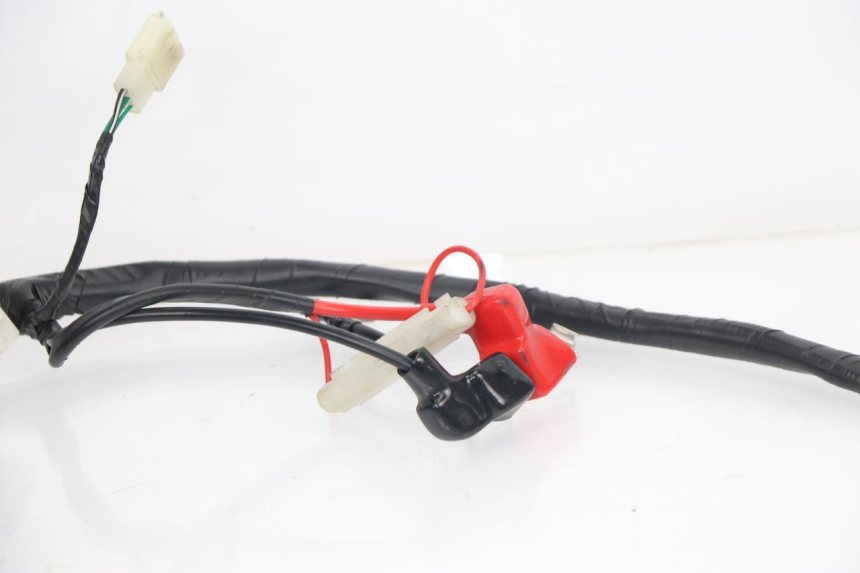 photo de WIRING HARNESS JM MOTORS MIA 50 (2017 - 2020)