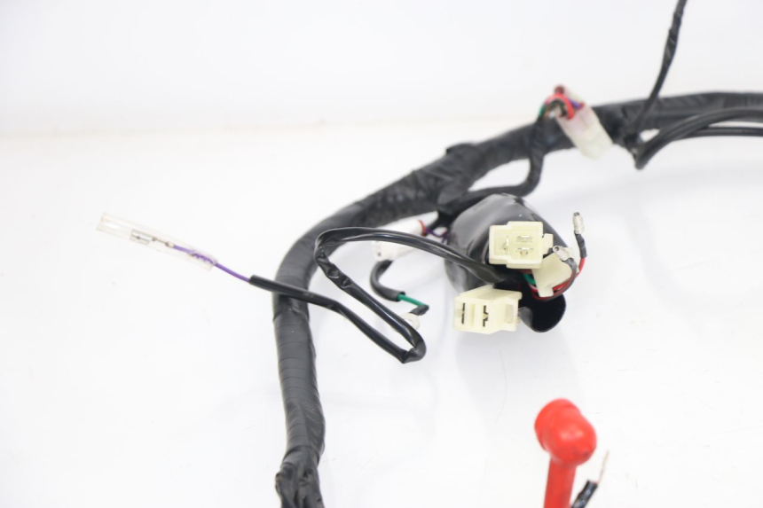 photo de WIRING HARNESS JM MOTORS MIA 50 (2017 - 2020)