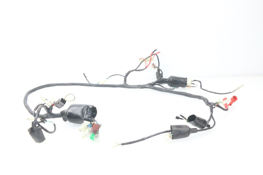 photo de WIRING HARNESS JM MOTORS MIA 50 (2017 - 2020)