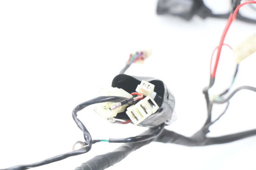 photo de WIRING HARNESS JM MOTORS MIA 50 (2017 - 2020)