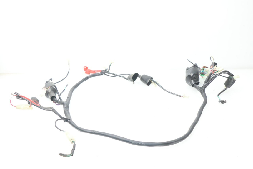 photo de WIRING HARNESS JM MOTORS MIA 50 (2017 - 2020)