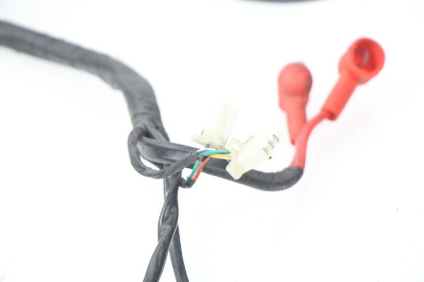 photo de WIRING HARNESS JM MOTORS MIA 50 (2017 - 2020)