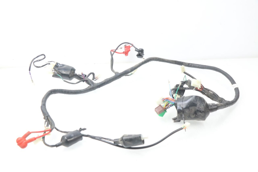 photo de WIRING HARNESS JM MOTORS MIA 50 (2017 - 2020)