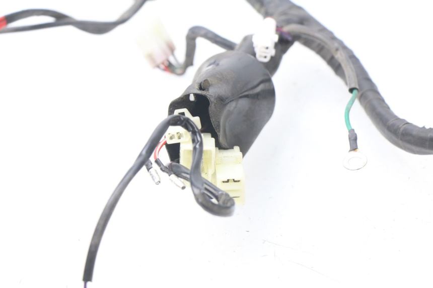 photo de WIRING HARNESS JM MOTORS MIA 50 (2017 - 2020)