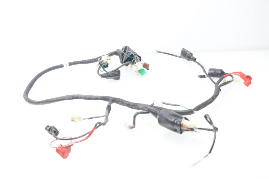 photo de WIRING HARNESS JM MOTORS MIA 50 (2017 - 2020)