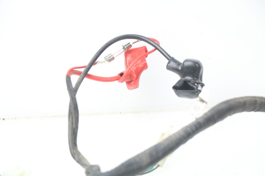 photo de WIRING HARNESS JM MOTORS MIA 50 (2017 - 2020)