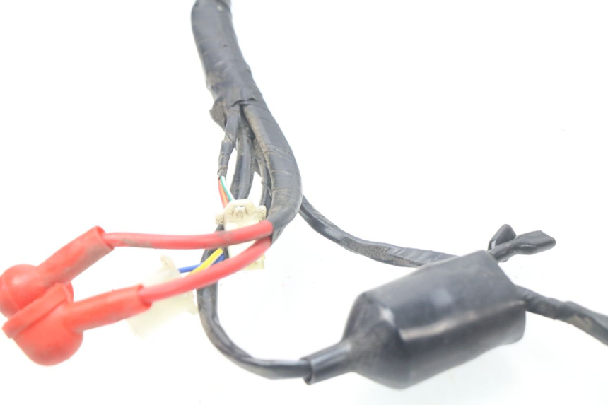 photo de WIRING HARNESS JM MOTORS MIA 50 (2017 - 2020)