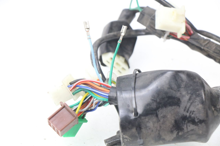 photo de WIRING HARNESS JM MOTORS MIA 50 (2017 - 2020)