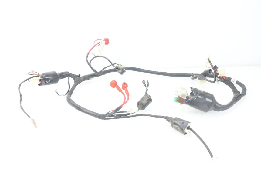 photo de WIRING HARNESS JM MOTORS MIA 50 (2017 - 2020)