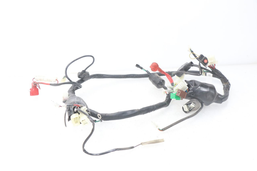 photo de WIRING HARNESS JM MOTORS MIA 50 (2017 - 2020)