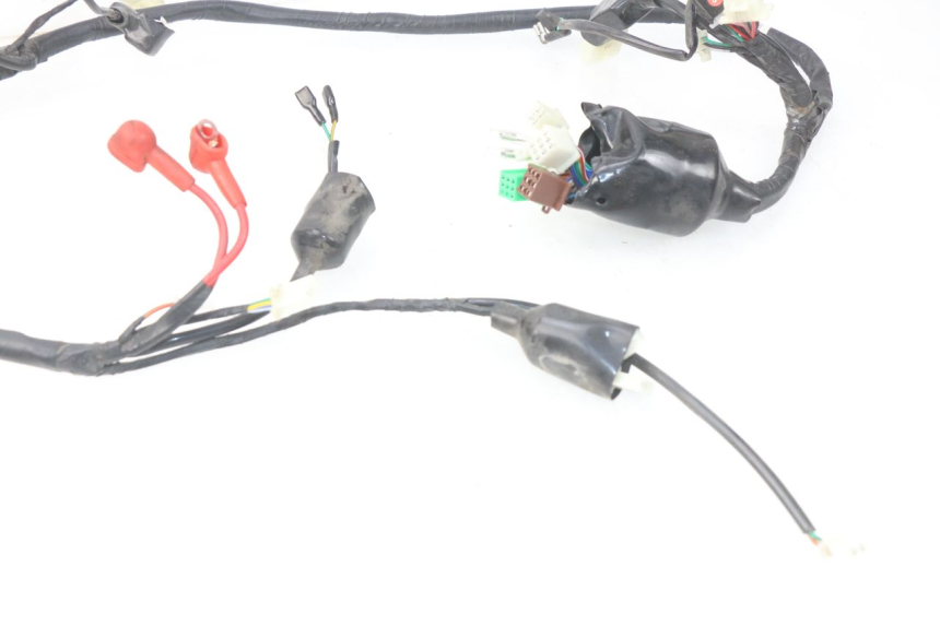 photo de WIRING HARNESS JM MOTORS MIA 50 (2017 - 2020)