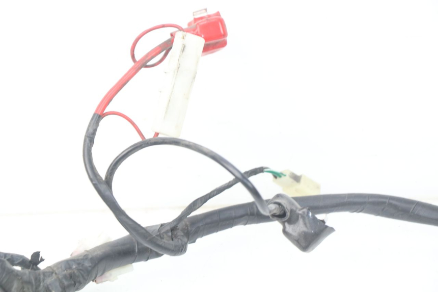 photo de WIRING HARNESS JM MOTORS MIA 50 (2017 - 2020)