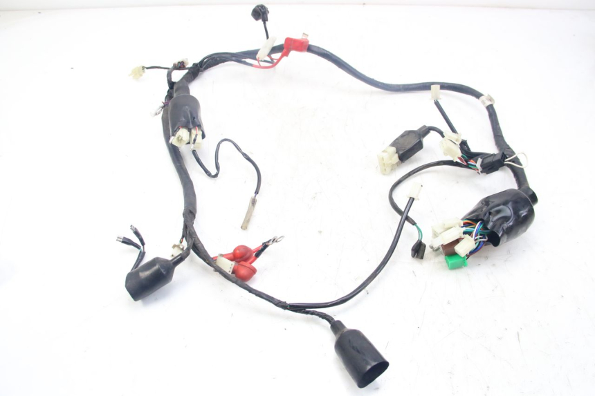 photo de WIRING HARNESS JM MOTORS MIA 50 (2017 - 2020)