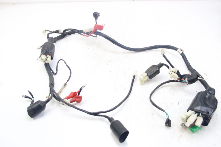 photo de WIRING HARNESS JM MOTORS MIA 50 (2017 - 2020)