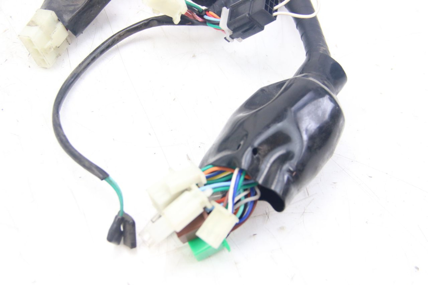 photo de WIRING HARNESS JM MOTORS MIA 50 (2017 - 2020)