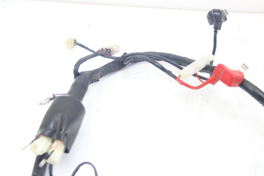 photo de WIRING HARNESS JM MOTORS MIA 50 (2017 - 2020)