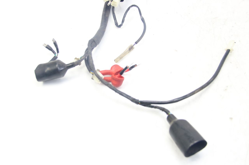 photo de WIRING HARNESS JM MOTORS MIA 50 (2017 - 2020)