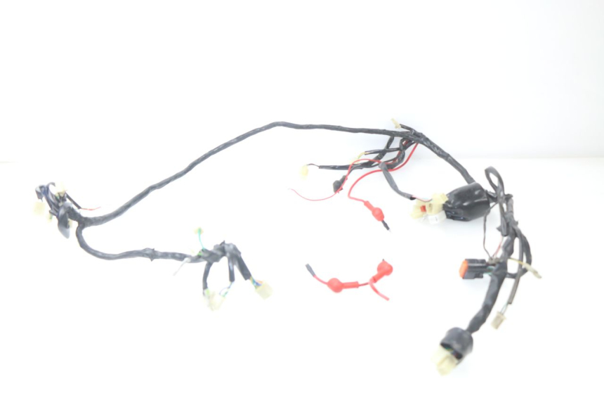 photo de WIRE HARNESS JM MOTORS MILANO 50 (2014 - 2019)