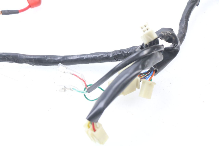 photo de WIRE HARNESS JM MOTORS MILANO 50 (2014 - 2019)