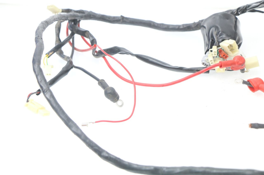 photo de WIRE HARNESS JM MOTORS MILANO 50 (2014 - 2019)